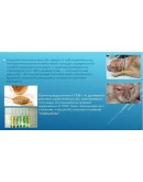 Красивая Презентация Витамин в6 Пиридоксин