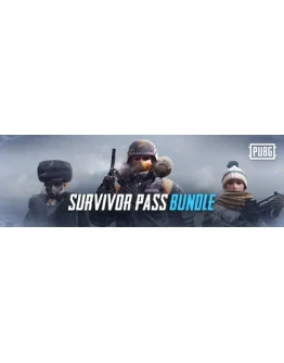 PUBG Survivor Pass 4 Aftermath (Steam Ключ. Ру/СНГ)