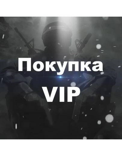 VIP 4X (60 Дней) + 1200 лвлов