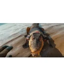 Far Cry 6 + Far Cry New Dawn /XBOX ONE, Series XS