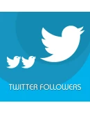 Комплексное продвижение в Твиттер Пакет 150 дешево