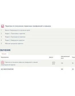 Практика по получению первичных умений.Отчет Синергия