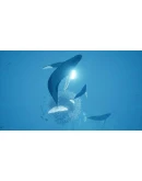 ABZU STEAM КЛЮЧ РОССИЯ + СНГ