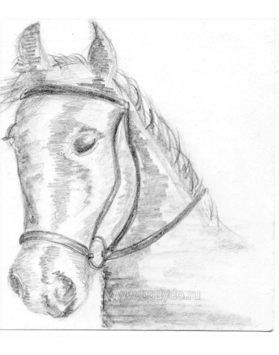Цифровой рисунок Задумчивая лошадка