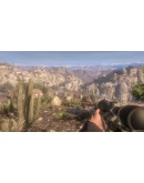 Call of Juarez: Картель (Steam Key RU+CIS)