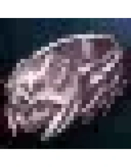 Refined Queen Ant's Ring ADEN Refined Queen Ant's Ring ADEN