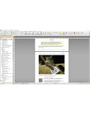 100 идей способов рекламы Telegram