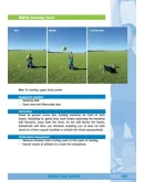 Книга: Развитие скорости в спорте