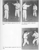 Книга: Манрикигусари-боевая цепь самураев