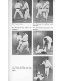 Книга: Манрикигусари-боевая цепь самураев