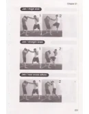 Книга: Жестокие удары