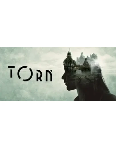 TORN (steam key RU)