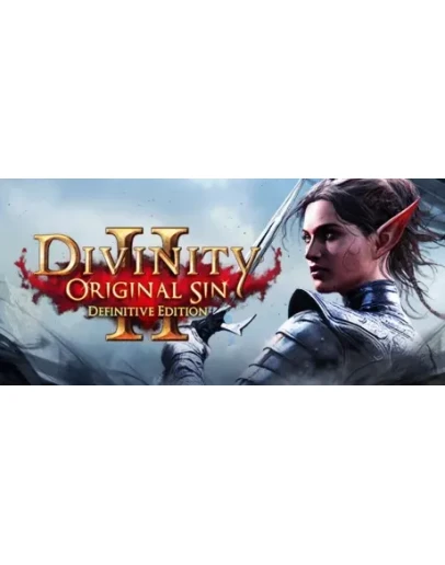 Divinity: Original Sin 2 - Def.Ed. Steam Access OFFLINE