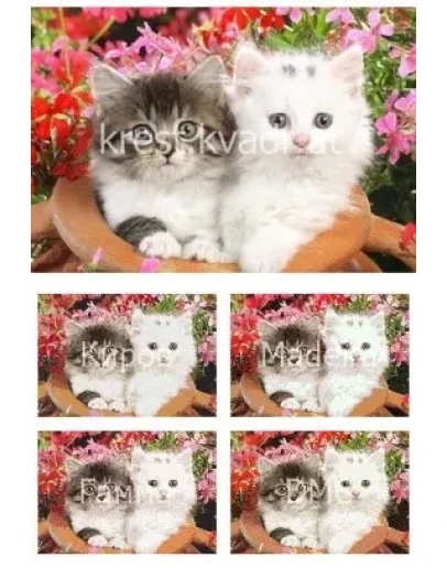 Очень смешные котята среди цветов