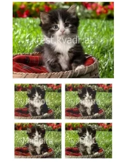 Котенок в корзине Котенок в корзине