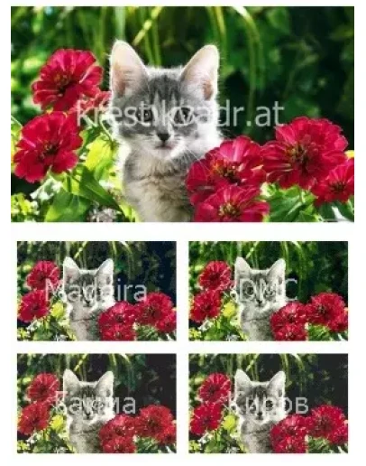 Котенок спрятался в цветах