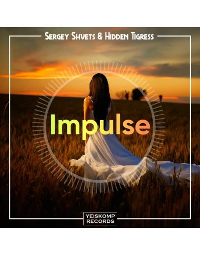 Sergey Shvets &amp Hidden Tigress - Impulse (Original Mix)