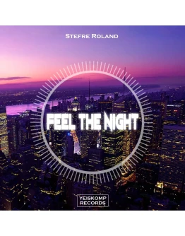 Stefre Roland - Feel The Night (Original Mix)