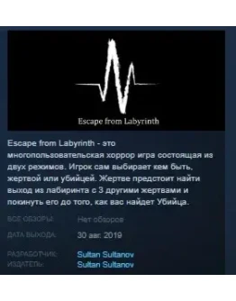 Escape from Labyrinth STEAM KEY REGION FREE GLOBAL