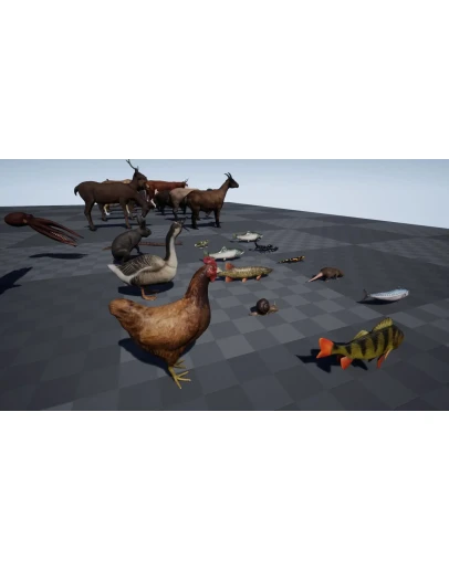 Животный Пакет Ультра UE4