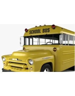 Chevrolet 4500 Школьный Автобус 1956 Chevrolet 4500 Школьный Автобус 1956