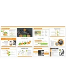 Презентация PowerPoint Премиум тема. Ремонт компьютеров