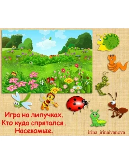 КТО КУДА СПРЯТАЛСЯ насекомые /электронная версия