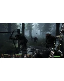 Warhammer: End Times - Vermintide Collector's STEAM