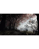 Warhammer: Vermintide 2 Collector's EditionSTEAM КЛЮЧ