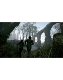 A Plague Tale: Innocence XBOX ONE SERIES XS Ключ