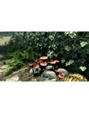 The Elder Scrolls V: Skyrim Special Edition XBOX