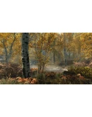 Skyrim Anniversary+Fallout 4 Anniversary Bundle XBOX Skyrim Anniversary+Fallout 4 Anniversary Bundle XBOX