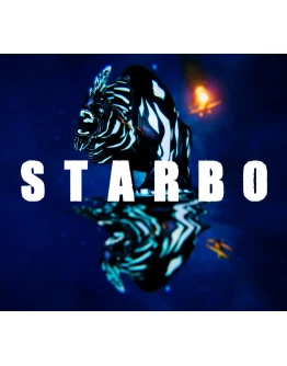 STARBO (Steam key / Region Free)