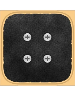 Skater - Skate Legendary Spots AppStore iPhone iPad