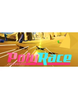 PolyRace (Steam Key / Region Free)