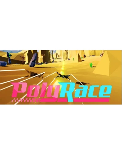 PolyRace (Steam Key / Region Free)
