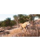 Hunting Simulator. STEAM-ключ+ПОДАРОК (RU+СНГ)