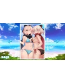 Ecchi Sky (Steam key/Region free)