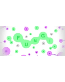 FUNGI STEAM KEY REGION FREE