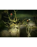 LEAVES - The Journey + LEAVES - The Return STEAM LEAVES - The Journey + LEAVES - The Return STEAM