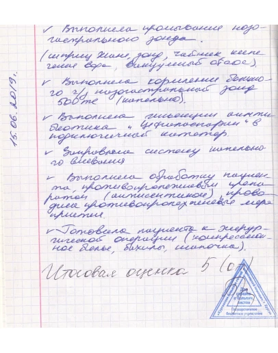 Пример заполнения дневника по практике сестринское дело