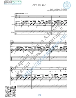 Ave Maria (Вокал Гитара Ноты Табы)