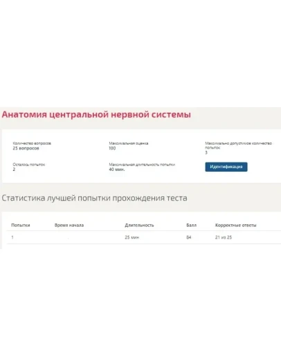 Анатомия центральной нервной системы (Синергия ответы)