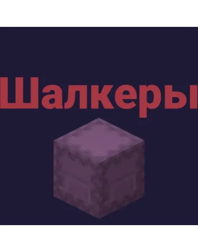 PolitBuild Шалкеры