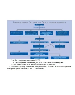 Семинар по европейскому гум. праву (ответы 2 вариант)