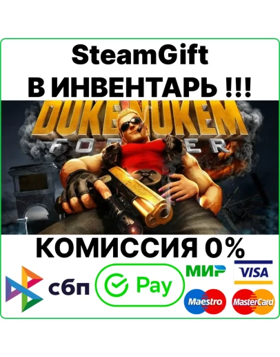 Duke Nukem Forever Steam Gift/RU+CIS