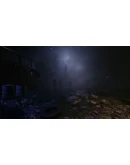 Those Who Remain (Steam GLOBAL) + Бонус