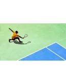 Tennis World Tour (Steam key / Region Free)