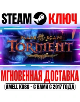 Planescape Torment: Enhanced Edition Steam Ключ РФ+Мир