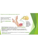 Презентация Условные и безусловные рефлексы